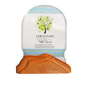 Wooden Crystal Plaque CR3108