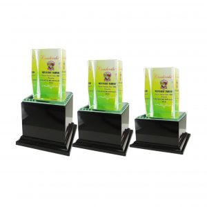 Crystal Glass Award CR8043