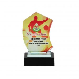 Crystal Glass Award CR8096