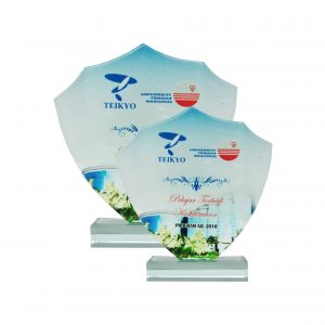 Crystal Glass Award CR8136