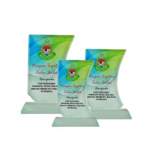 Crystal Glass Award CR8173