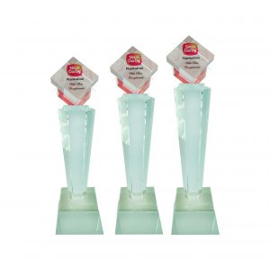 Crystal Trophy Crystal Glass Award CR8188 Crystal Glass Award CR8188