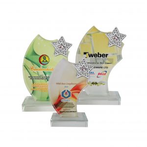 Crystal Glass Star Award CR8198