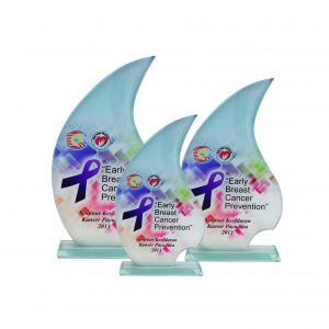 Crystal Glass Award CR8224