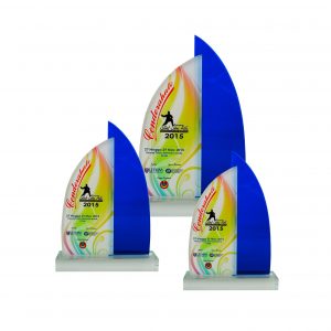 Crystal Glass Award CR8248