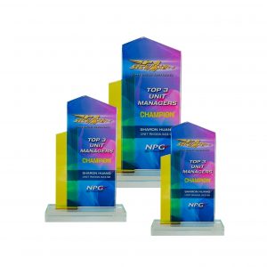 Crystal Glass Award CR8251