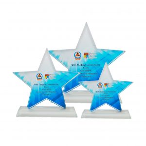 Crystal Glass Star Award CR8256
