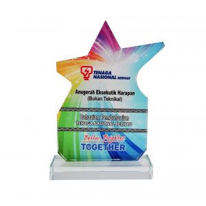 Crystal Glass Star Award CR8287