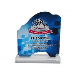 Crystal Glass Award CR8288