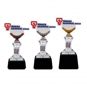 Crystal Glass Award CR8296