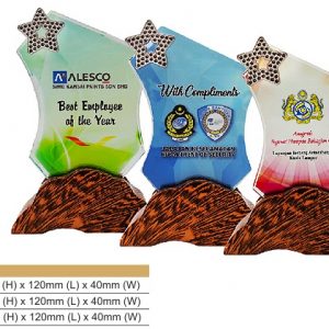 Crystal Award CR8314