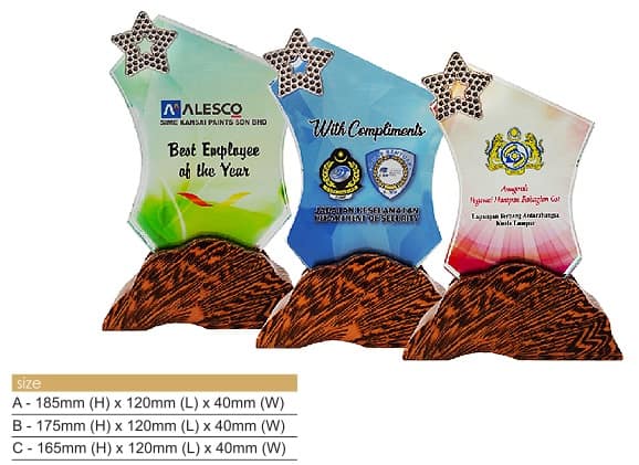Crystal Plaques Crystal Award CR8314 Crystal Award CR8314