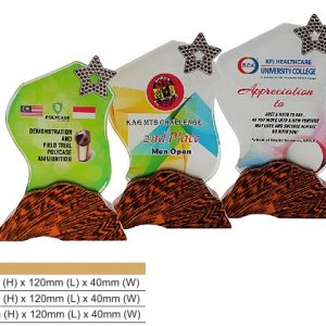 Crystal Plaques Crystal Award CR8317 Crystal Award CR8317