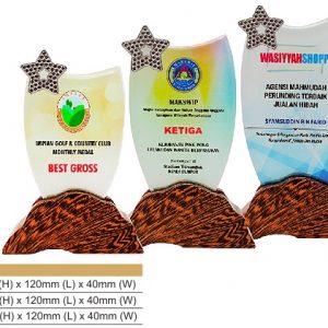 Star Crystal Award CR8321