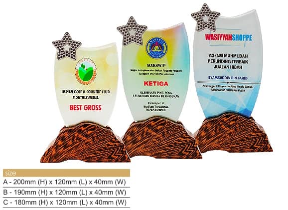Crystal Plaques Star Crystal Award CR8321 Star Crystal Award CR8321