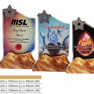 Star Crystal Award CR8322