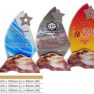 Star Crystal Award CR8323