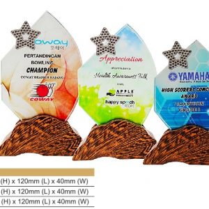 Star Crystal Award CR8324