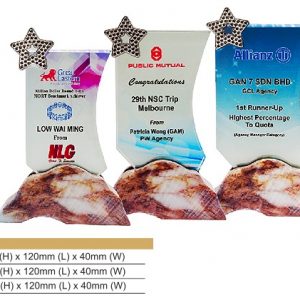 Star Crystal Award CR8325