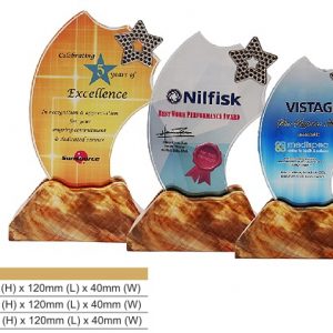 Star Crystal Award CR8326