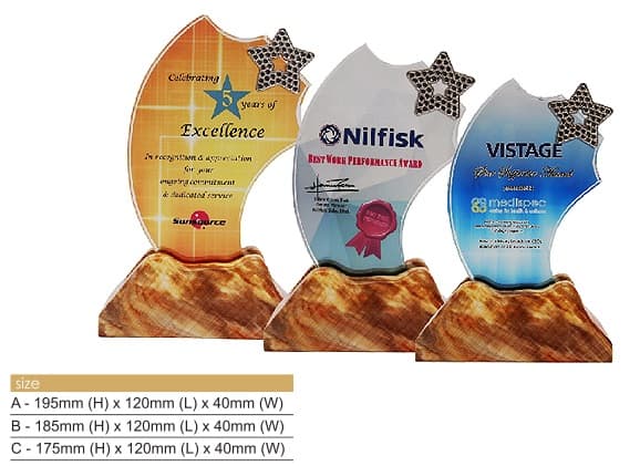 Crystal Plaques Star Crystal Award CR8326 Star Crystal Award CR8326