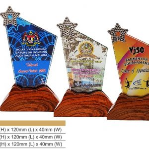 Star Crystal Award CR8328