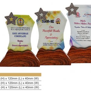 Star Crystal Award CR8329