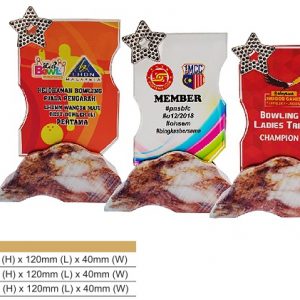 Color Crystal Award CR8330