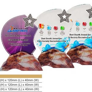 Star Crystal Award CR8331