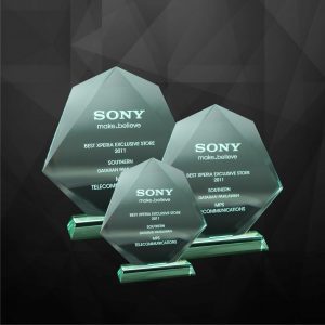 Octagon Crystal Plaque CR9019