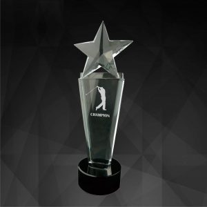 Crystal Star Award CR9078