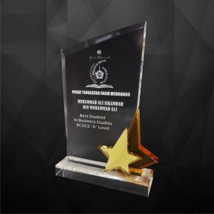 Crystal Star Award CR9116