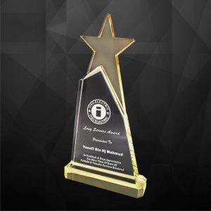 Crystal Star Award CR9119