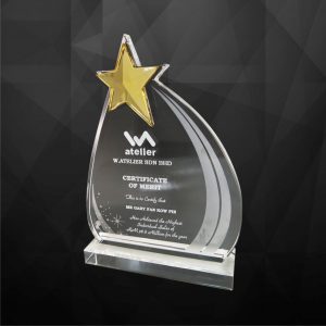 Crystal Star Award CR9124