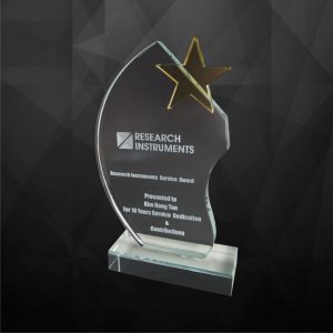 Crystal Star Award CR9127