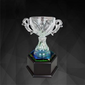 Crystal Cup Trophy CR9133