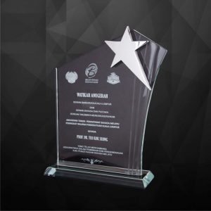 Crystal Star Plaque CR9167
