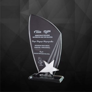 Crystal Star Plaque CR9168