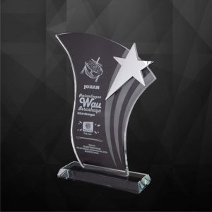 Crystal Star Plaque CR9169