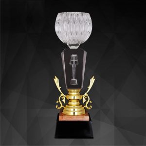 Crystal Trophy Crystal Cup Award CR9192 Crystal Cup Award CR9192