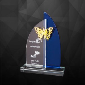 Crystal Plaques Crystal Butterfly Plaque CR9216 Crystal Butterfly Plaque CR9216