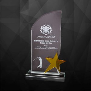 Crystal Star Plaque CR9227