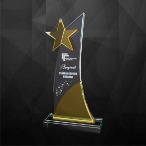 Crystal Star Plaque CR9228