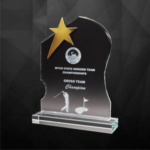 Crystal Star Plaque CR9250