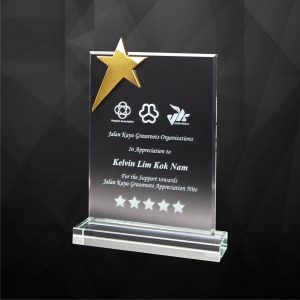 Crystal Star Plaque CR9253