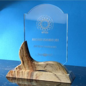 Crystal Award CR9305