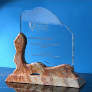 Crystal Award CR9306