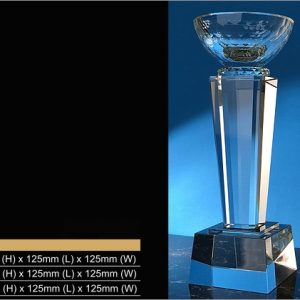 Crystal Cup Trophy CR9340