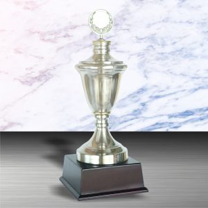 Silver Trophy EXWS6001