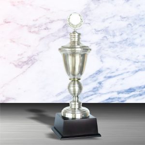 Silver Trophy EXWS6003